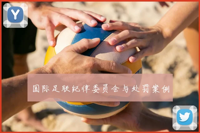 国际足联纪律委员会与处罚案例