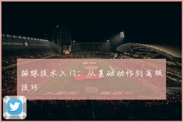 排球技术入门：从基础动作到高级技巧