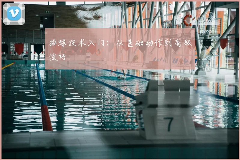 排球技术入门：从基础动作到高级技巧